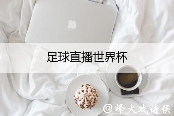 世界杯赛事直播平台推荐，看球省心